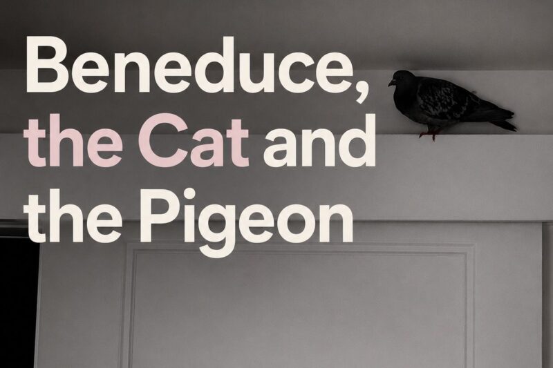 Housecast: Beneduce, the Cat and the Pigeon (ft Dave “Pinky” Krupinski)